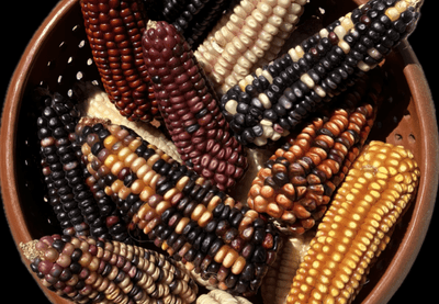 mexican corn