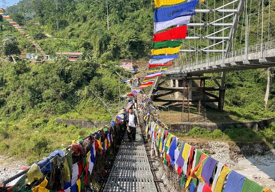 Suspension bridge