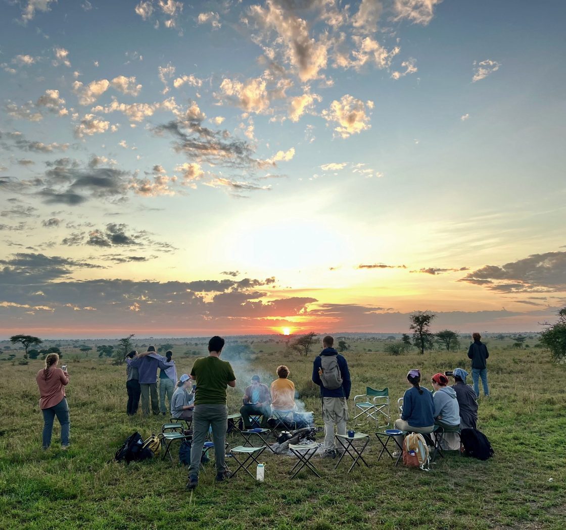 sunset in the serengeti