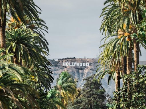 CAMS LA Holywood Sign