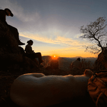 At the summit of Picacho dogs that had guided and accompanied the students lay quietly on the ground, resting