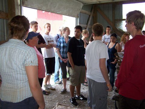 Callister Chicken Farm