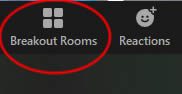 Zoom Breakout Rooms