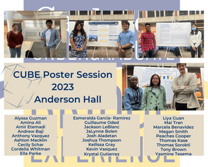 CUBE poster session