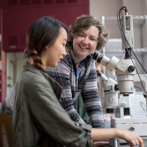 Professor Jennifer Wolff works with a student in a biology lab