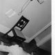 The Worshipped Telephone