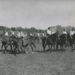 Horseback Event