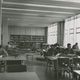 Study Areas