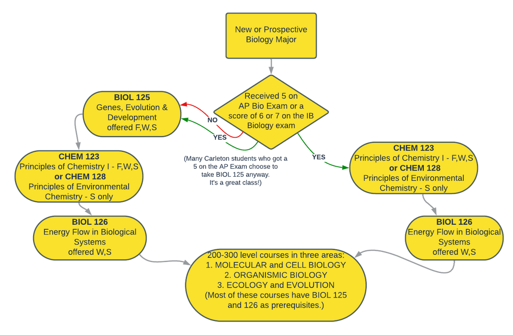 Biology Major Flowchart