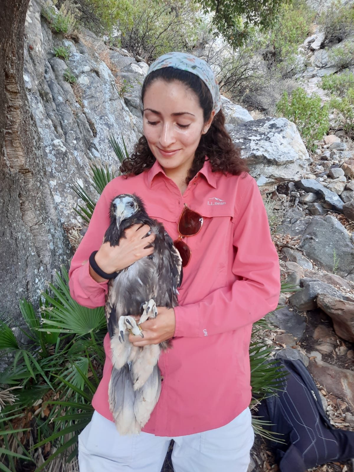 Maxima Gomez-Palmer with an Egyptian vulture.
