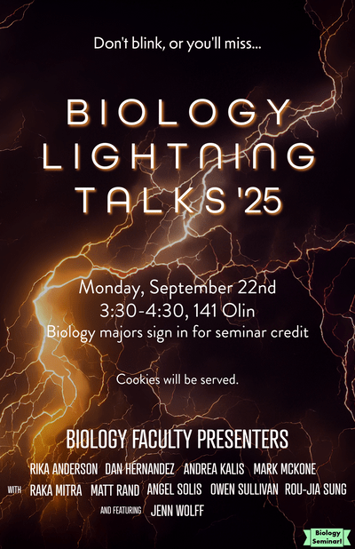 Poster with event info and lightning background.