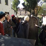 Krakow's New Synagogue