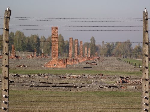 Ruins at Birkenau
