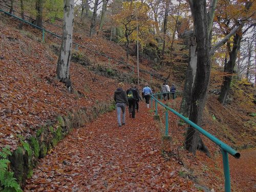 Further up the Trail