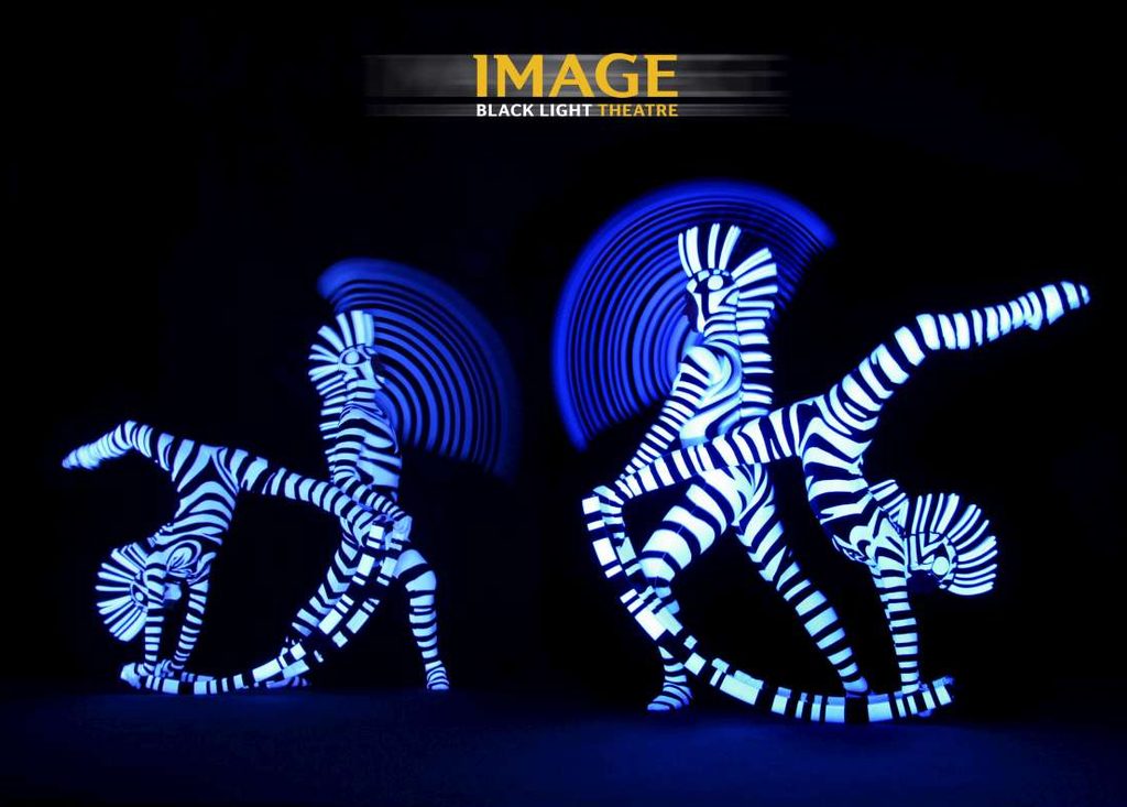 Black Light Zebras from the Show