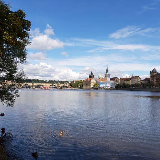 Beautiful view from the banks of the Vltava River