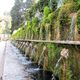 A breathtaking fountain at the Villa d’Este in Tivoli in a sprawling Renaissance villa.