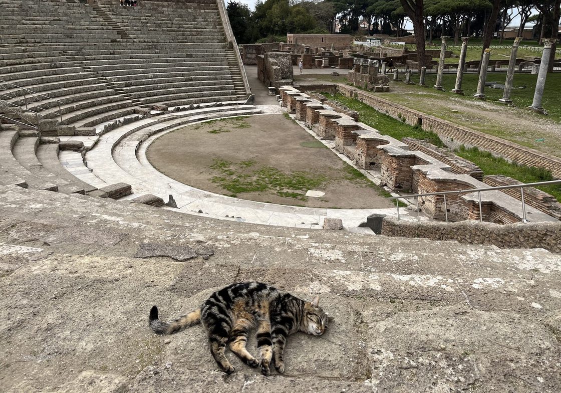 An Italian cat enjoying the good life in the ruins of Ostia Antica.