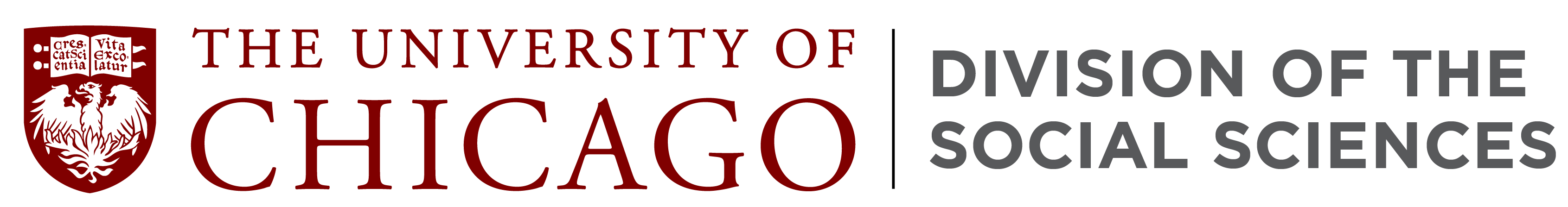 University of Chicago - Division of the Social Sciences logo