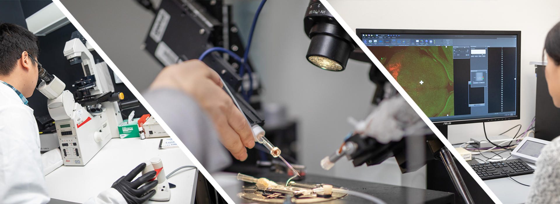 Molecular Pharmacology & Therapeutics (MPaT) graduate program