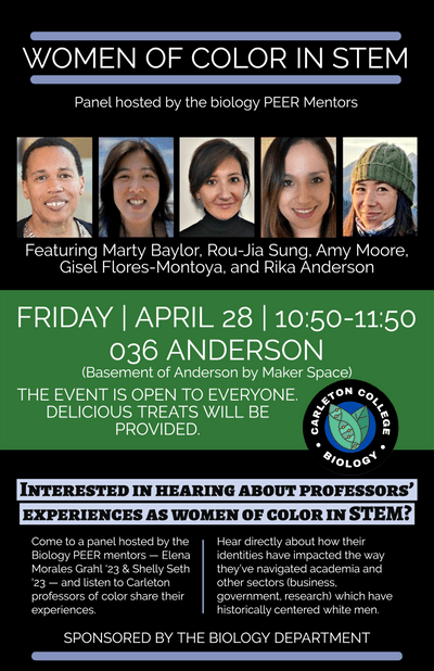 Women of Color in Stem Poster