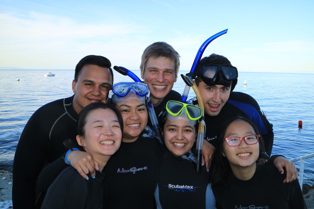 Snorkeling at Catalina Island