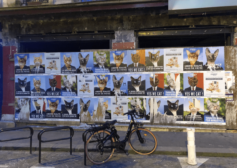 a wall covered in cat posters under a bridge with a bicycle