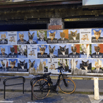 a wall covered in cat posters under a bridge with a bicycle