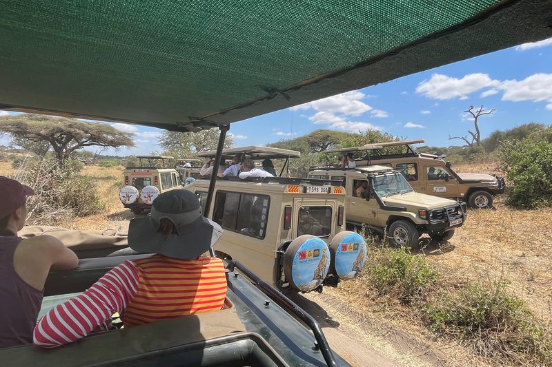 safari in tanzania