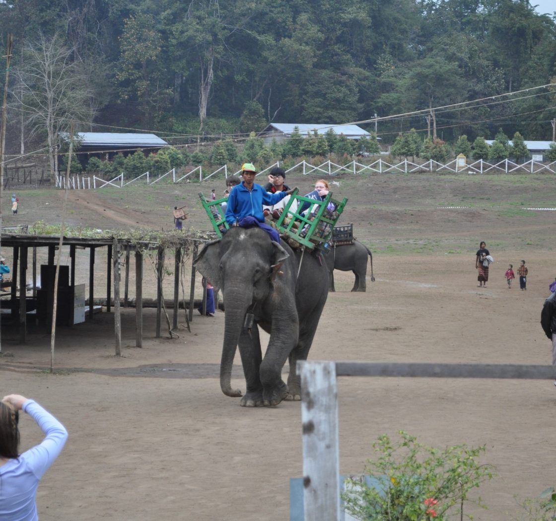 students ride on the back of an elephant