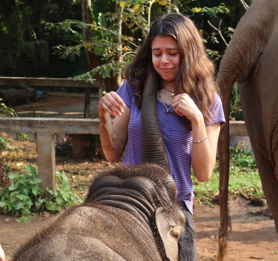 student pets baby elephant