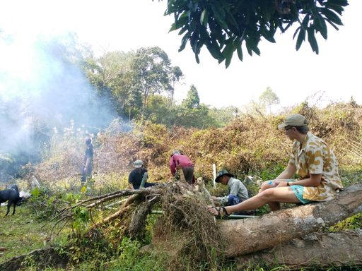 students set up campsite in forest