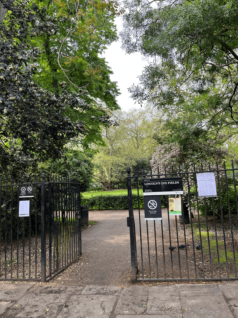 My walk to campus through Lincoln’s Inn Fields, a beautiful public park in Holborn