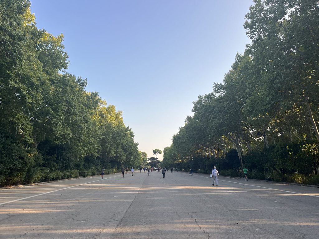 Main path of El Retiro - perfect for running, walking, or biking
