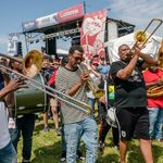 Musicians at a music festival
