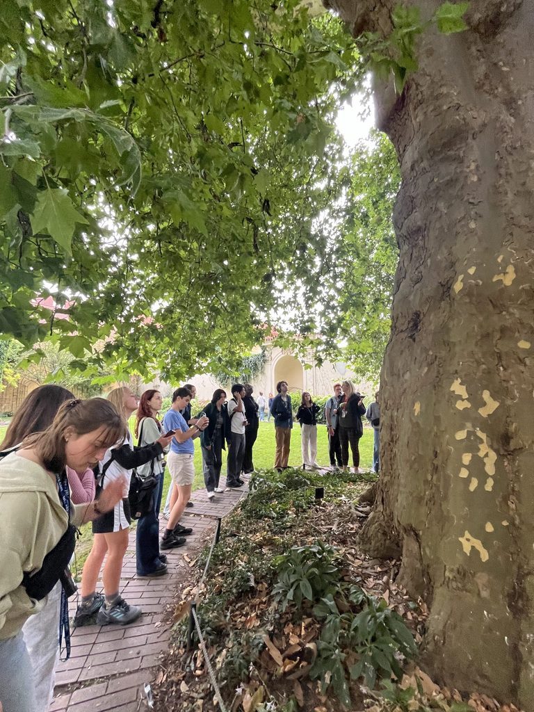 under Beethoven’s famous tree