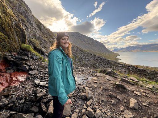 Student at Iceland vista