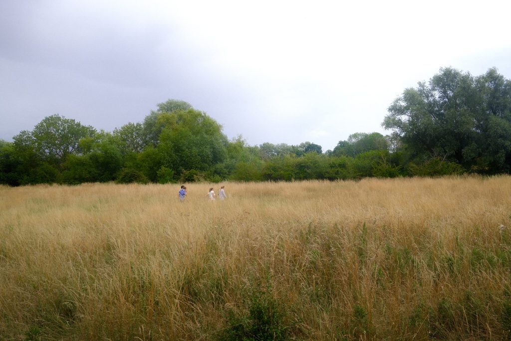 Students walk in Cambridge field