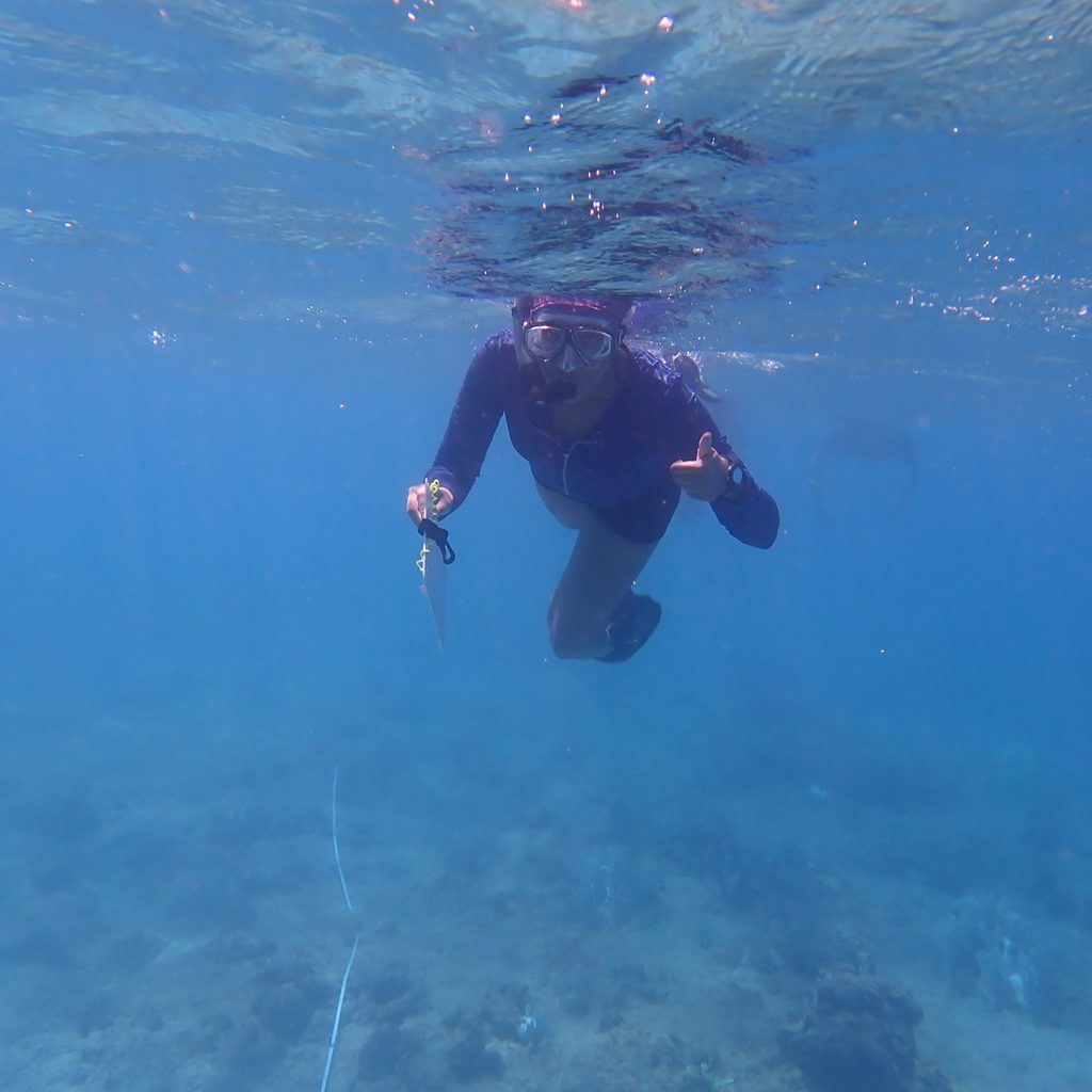 Student swims in the ocean and gives a thumbs up