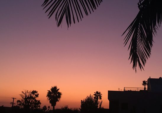 LA skyline at sunset