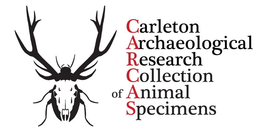 CARCAS logo with animal skull and bug outline. Stacked text reads Carleton Archaeological Research Collection of Animal Specimens in black with the first letter in each word Red.