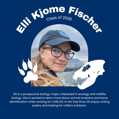 Elli