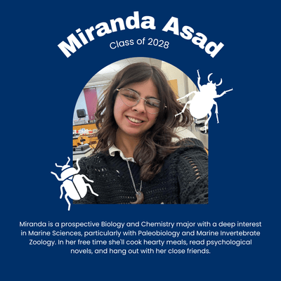 Miranda