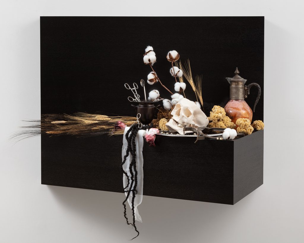 A black shelf with dried wheat, cotton, flowers and various agricultural offcuts. A skull and metal bowl with surgical clamps are in the center. Black braids of hair and white gauze drape over the side.