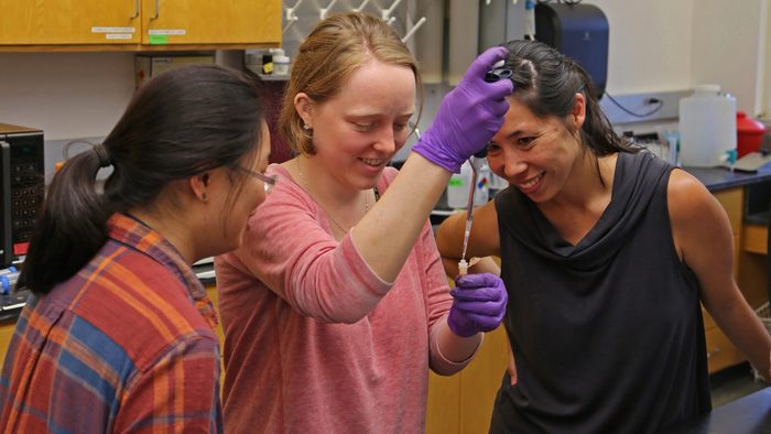 Two students and a professor in a biology lab