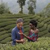 International Film Forum: Black Tea