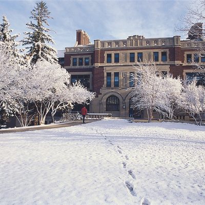 Snowy Leighton