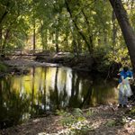 Arb Cleanup