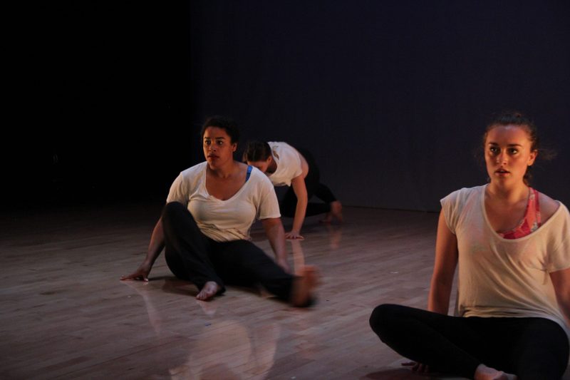 Experimental Dance Board Spring Production