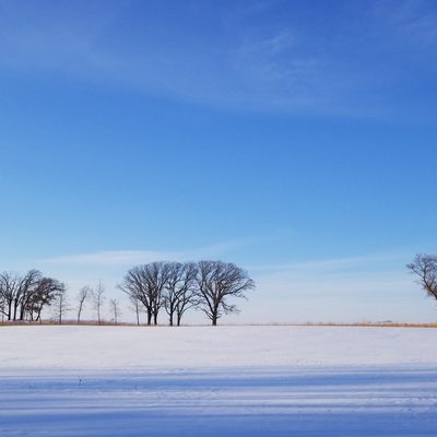 Snowy landscape
